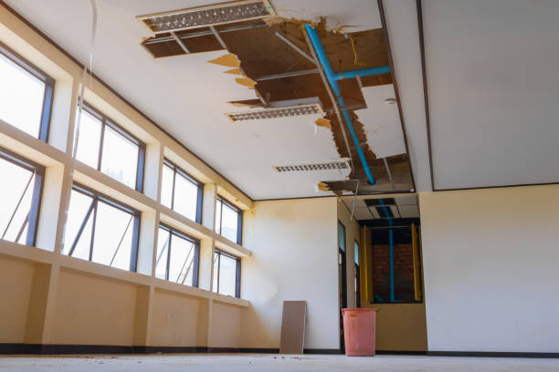 Best Flood damage cleanup  in Mabton, WA