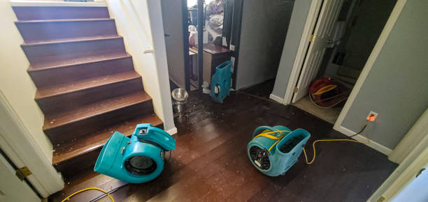 Best Commercial water damage restoration  in Mabton, WA