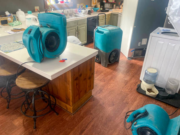 Professional Water damage restoration in Mabton, WA