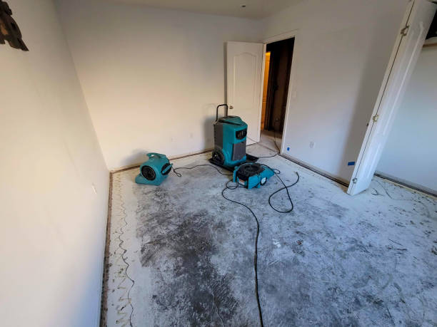 Best Local water damage restoration  in Mabton, WA