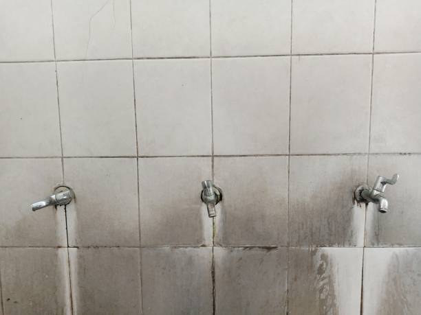 Best Flooded house restoration  in Mabton, WA