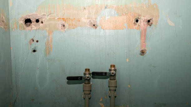 Best Professional water damage repair  in Mabton, WA