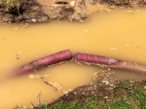 Best 24-hour water damage restoration  in Mabton, WA