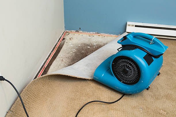 Best Basement water damage restoration  in Mabton, WA